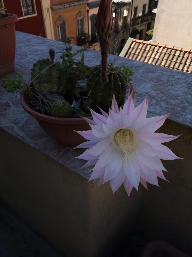 B&B Antica Citta Cagliari Buitenkant foto